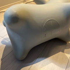 ブルーナボンボンの画像