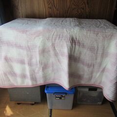 未使用  ウォッシャブル 日本製 カシミロン 毛布　（ピンク花柄）サイズ 140×200ｃｍ　ソフトタッチ　森口毛織　タグ付　仕舞いジワ有　一部ヨゴレあり　【ペットはいません】の画像