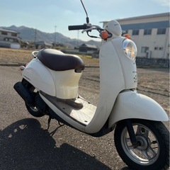 原付　ホンダ　スクーピー　バイク　車体　配達可能の画像