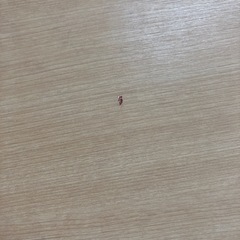 石2512-288 木製チェスト6段　中古美品の画像