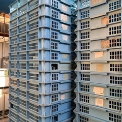 農業や工場で使えませんか！？　プラカゴ差し上げます！の画像