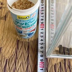 小さめの水槽　グッピーの餌つきの画像