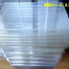 飼育ケース（爬虫類、両生類、昆虫 カブトムシ・クワガタなど）の画像