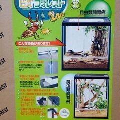 飼育ケース（爬虫類、両生類、昆虫 カブトムシ・クワガタなど）の画像