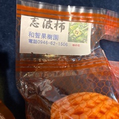 志波柿　5個の画像