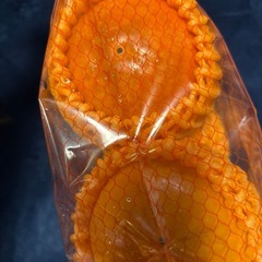 志波柿　5個の画像