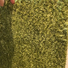 アクセントラグの画像