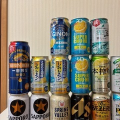 お酒19本セットの画像