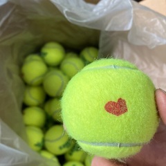 中古テニスボール58個の画像