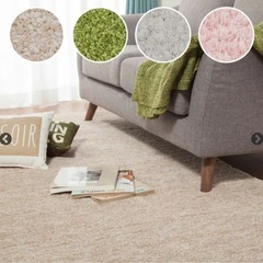 アクセントラグの画像