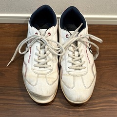 マスターバニーエディション  26cm ゴルフシューズの画像