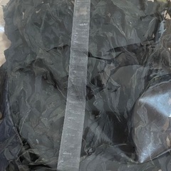 キウイなど　お話し中ですの画像