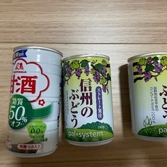 キウイなど　お話し中ですの画像