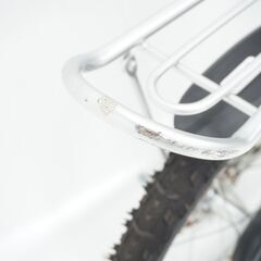 BRIDGESTONE ECOKIDS 16インチ キッズバイクの画像