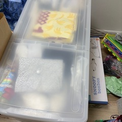 アイリスオーヤマ　衣装ケース2個セットの画像