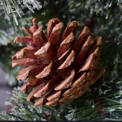 【中古】北欧風リアルツリー★ジュールリンケリ★120㎝★松ぼっくり、箱付き★の画像