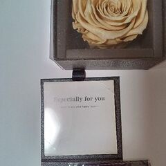 人気のダイヤモンドローズの画像