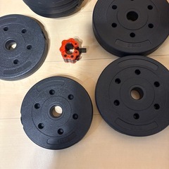 ダンベル片側1.25、1.5、2.0、2.5kg ×4 計7.25×4=29kgの画像