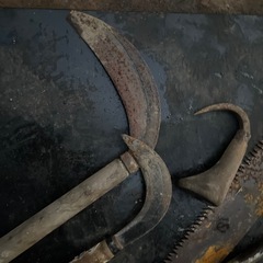 ノコ他　カマ　丈夫ですの画像