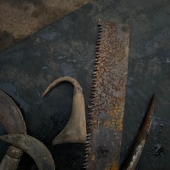 ノコ他　カマ　丈夫ですの画像