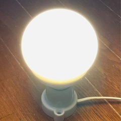電球３個セットの画像