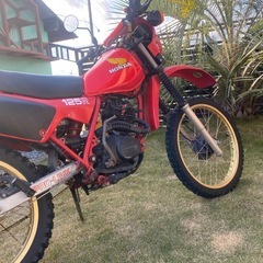 XL125R 美車　オフロードバイクの画像