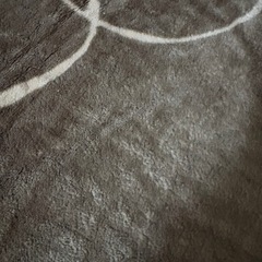 カーペット　ラグ
の画像