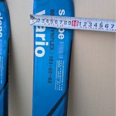 エラン varioファンスキー ショートスキー スキー板の画像