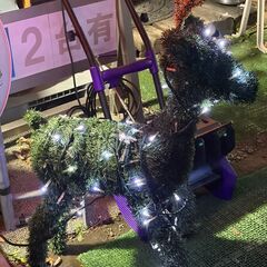 クリスマス　イルミネーション　サンタクロース　トナカイの画像