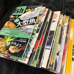 ハーレー、熱帯魚の雑誌の画像