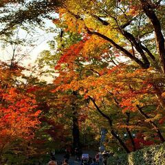 無理のない距離で、心が通う関係を - 京都市