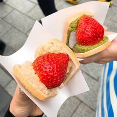 無理のない距離で、心が通う関係を - その他