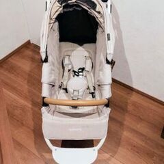 エアバギー（マット・ドリンク受け付きオリジナルトートなど付き）の画像