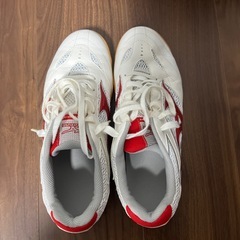 卓球シューズの画像