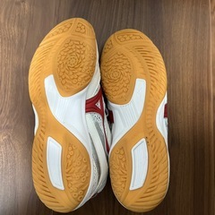 卓球シューズの画像