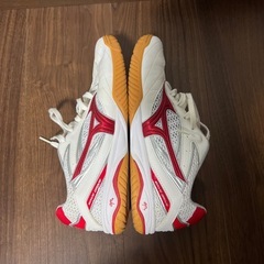 卓球シューズの画像