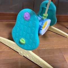 プーメリーの画像