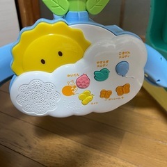 プーメリーの画像