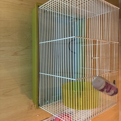 ハムスター飼育カゴの画像