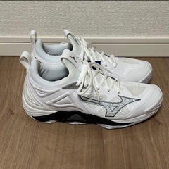 バレーシューズ WAVE MOMENTUM 3の画像