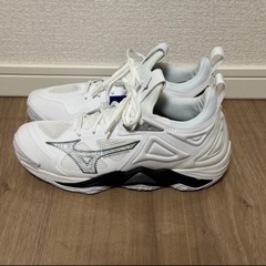 バレーシューズ WAVE MOMENTUM 3の画像