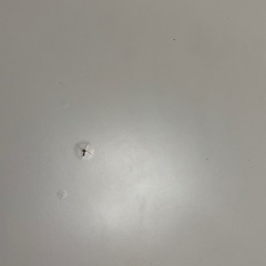 ローテーブル 白の画像