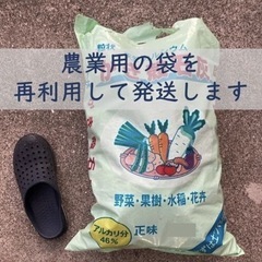 香川県産牡蠣殻(簡易洗浄/天日干し) 水質浄化 新品未使用 5kgの画像