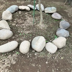庭石の画像