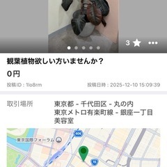 観葉植物あげます。の画像