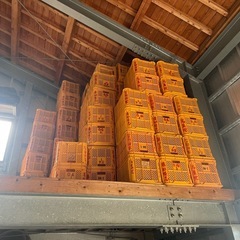 みかん箱　プラスチックの画像