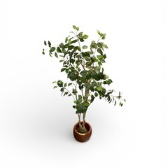 【フェイクツリー】【管理番号1210臣】の画像