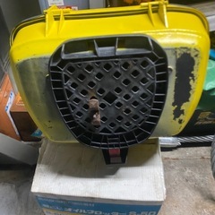 リアボックス 大の画像