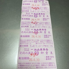 一畑山薬師寺 御霊泉 入浴無理チケット4枚の画像