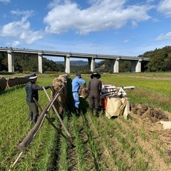 【天日干し】新米マンゲツモチ　5kgの画像